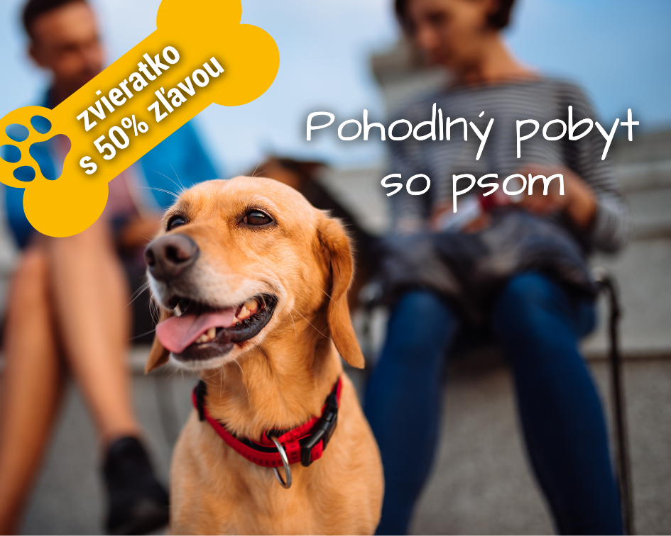 Pohodlný pobyt so psom